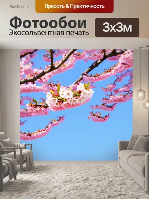 Фотообои светлый фон, на котором изображены цветущие вишневые деревья с яркими цветами, лёгкий ветерок развивает их…