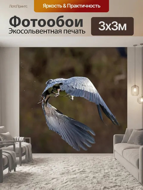 Фотообои Серая цапля