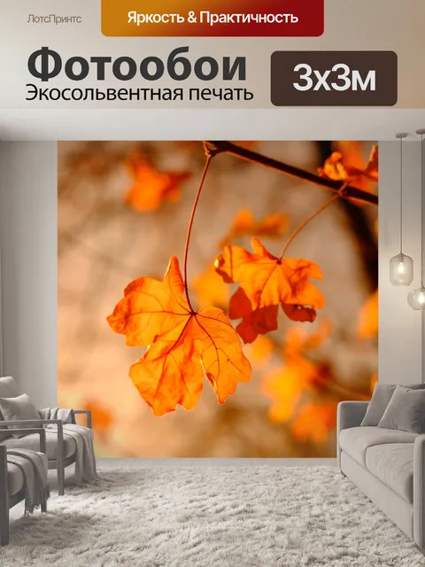 Фотообои Клен