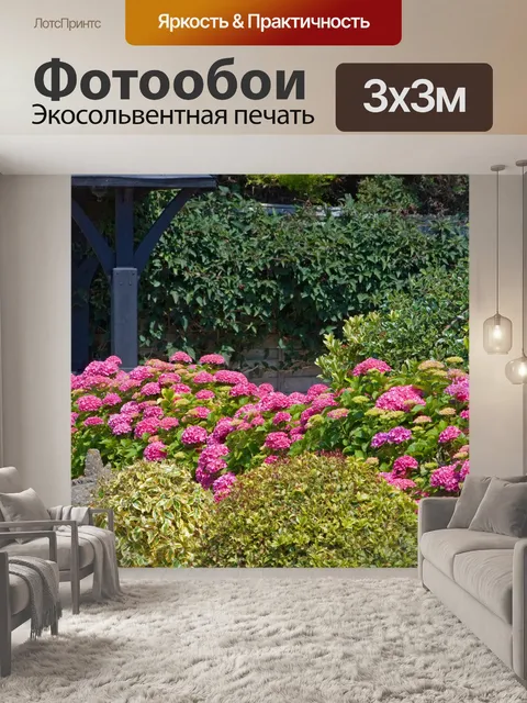 Фотообои Гортензии