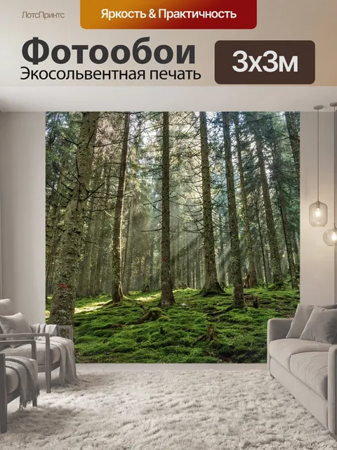 Фотообои Лес