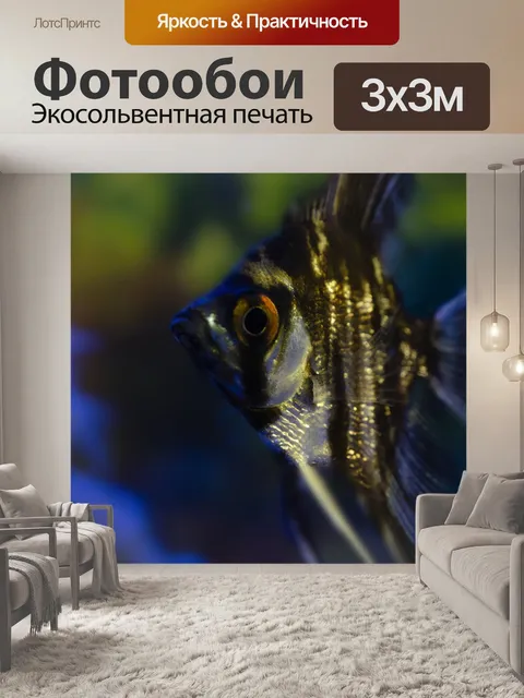 Фотообои Угол рыбы