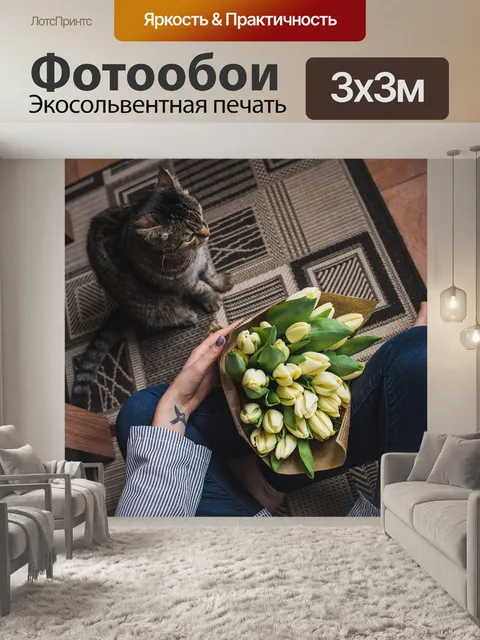 Фотообои Кот