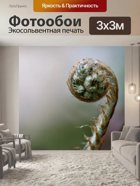 Фотообои Fiddlehead