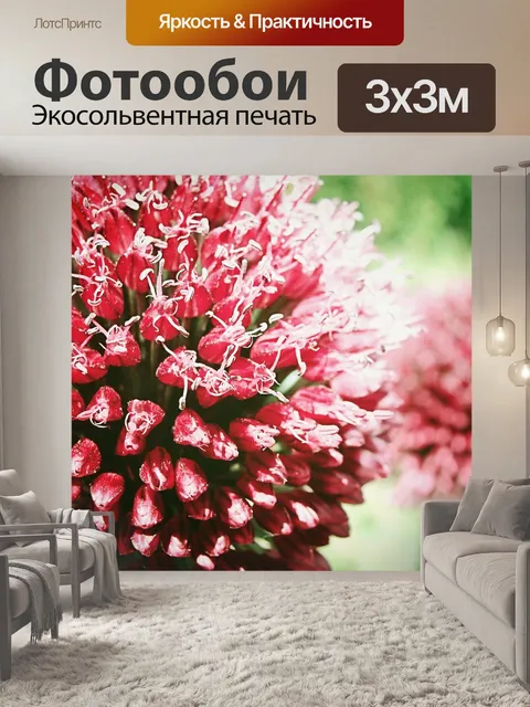 Фотообои Розовые