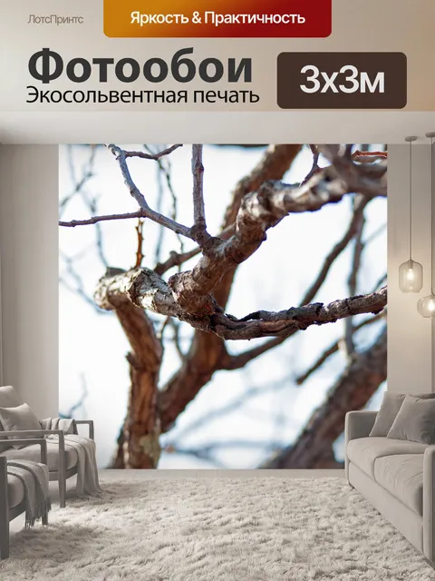 Фотообои Закрыть отделительную кору