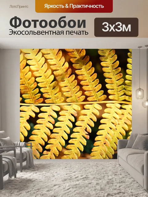 Фотообои Папоротник