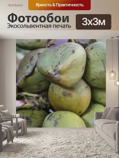 Фотообои Кокосы