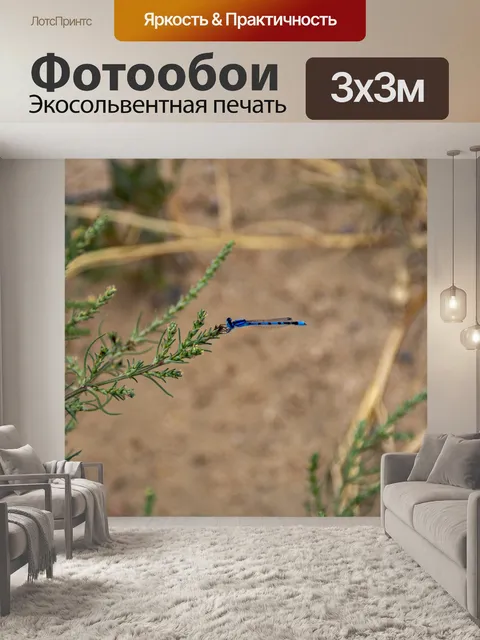 Фотообои лазурная красотка