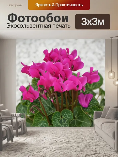 Фотообои Цветок