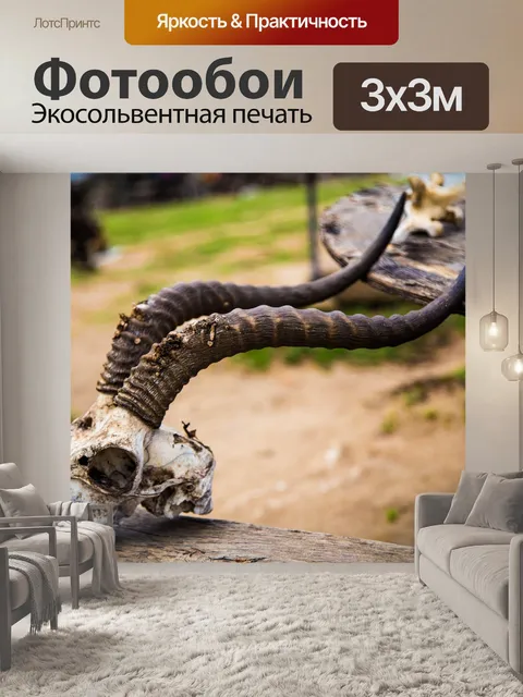 Фотообои Природа
