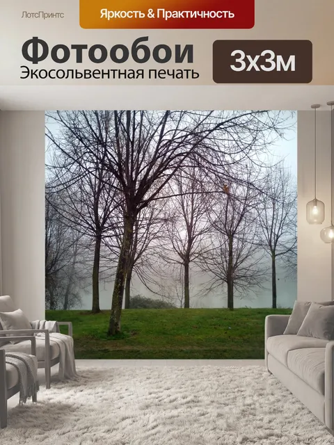 Фотообои Туман