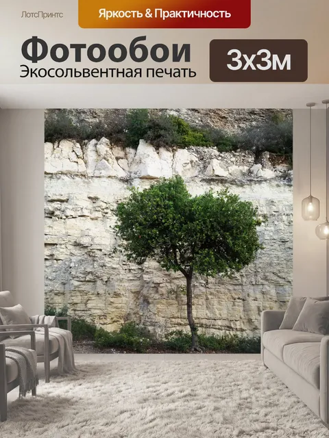 Фотообои Одинокое дерево против утеса