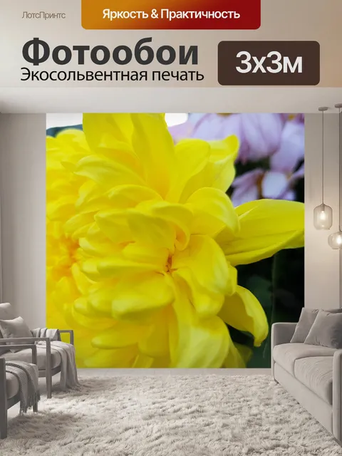 Фотообои Желтые лепестки георгина