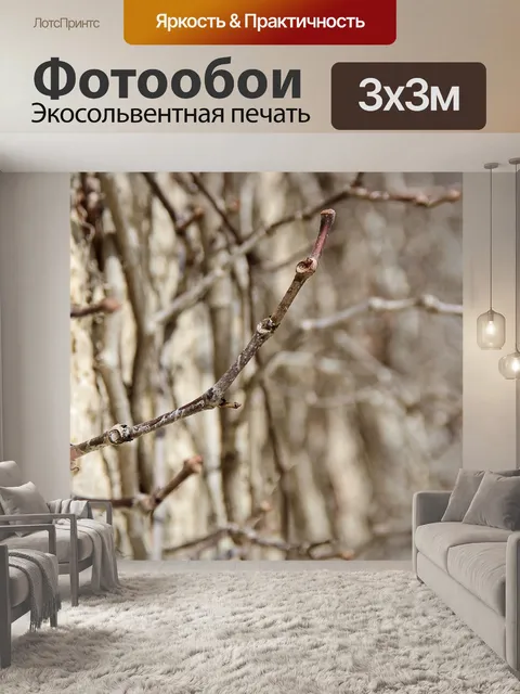 Фотообои Сухие веточки