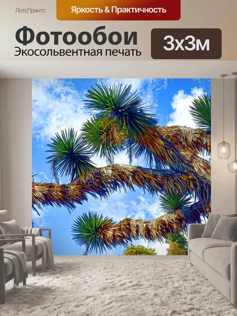 Фотообои Кактус и голубое небо