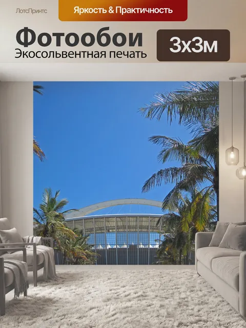 Фотообои перед матчем стадион мабхида