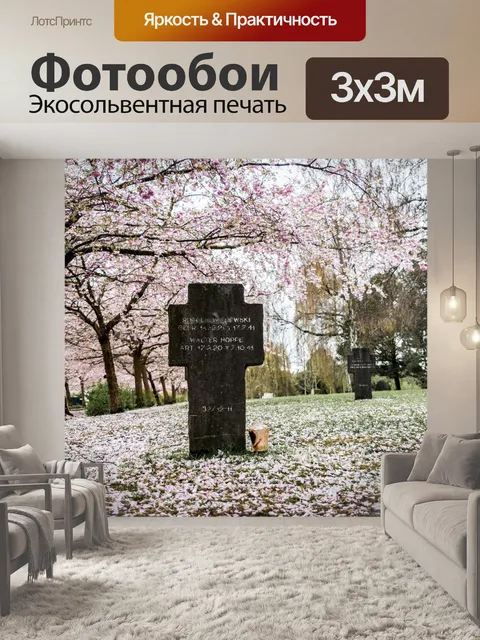 Фотообои Сакура