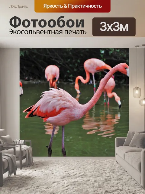 Фотообои Фламинго