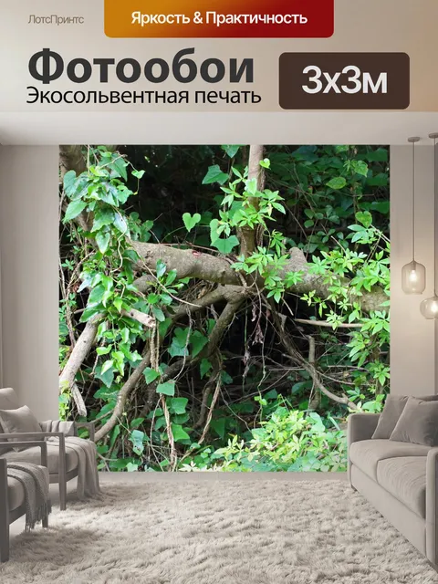 Фотообои Субтропические ветви и листва