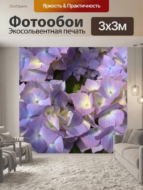 Фотообои Гортензия 05