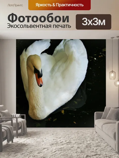 Фотообои Белый лебедь красота