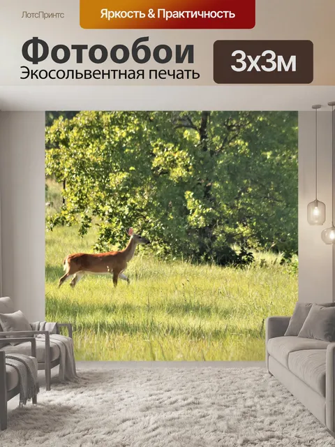 Фотообои Олень, идущий через поле страны