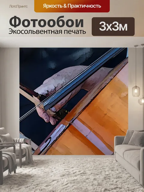 Фотообои Виолончелист играет на виолончели