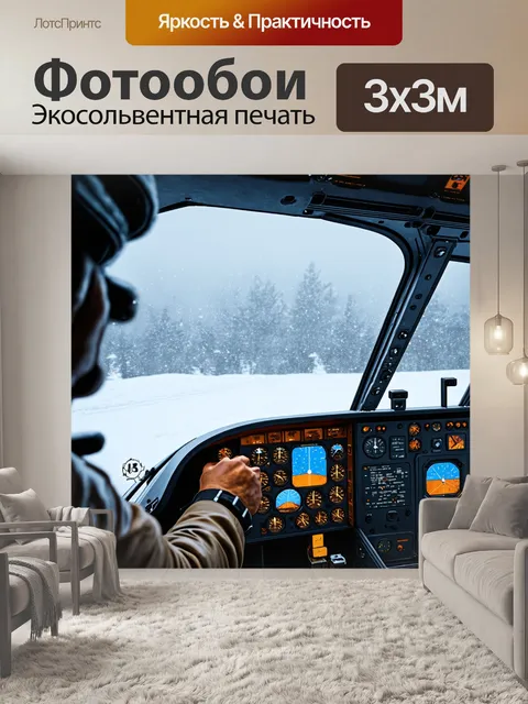 Фотообои зимний вид на кабину пилота