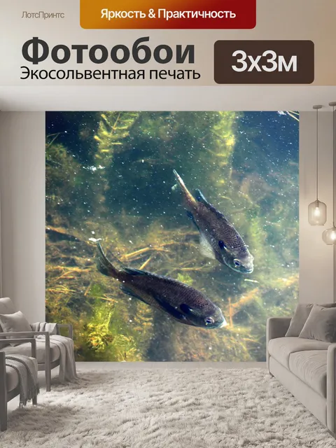 Фотообои Рыба в озере 2
