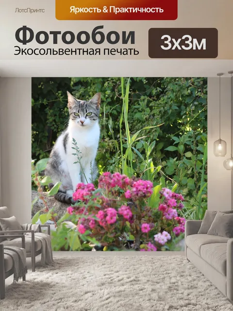 Фотообои Кошка
