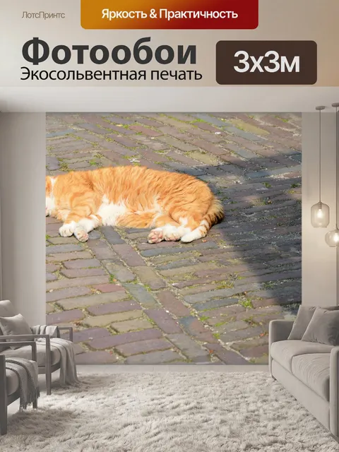Фотообои Кошки 4