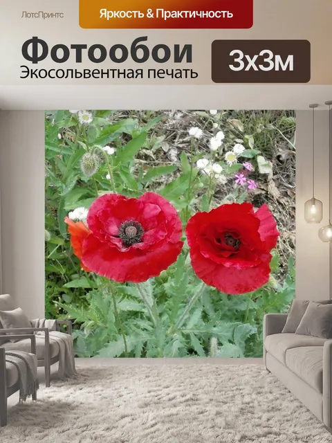 Фотообои Мак