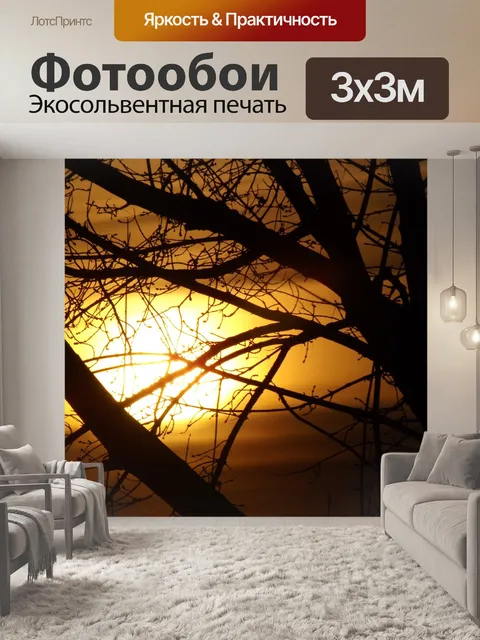 Фотообои Поднялся