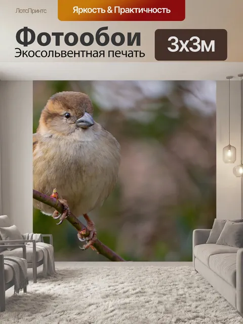 Фотообои Воробей
