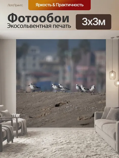 Фотообои Стая птенцов Сандерлинга