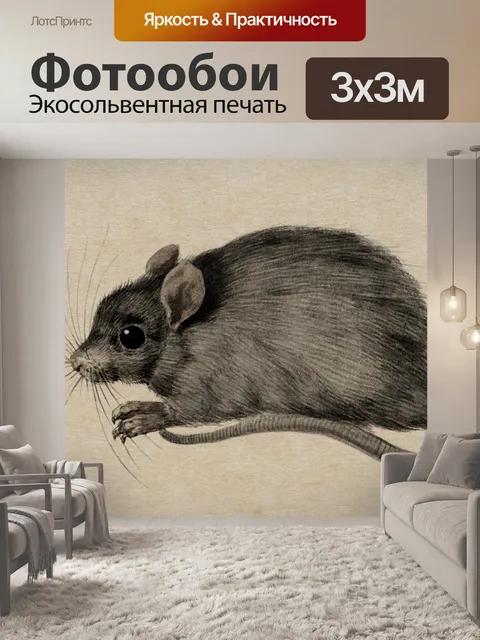 Фотообои Мышь vintage art old