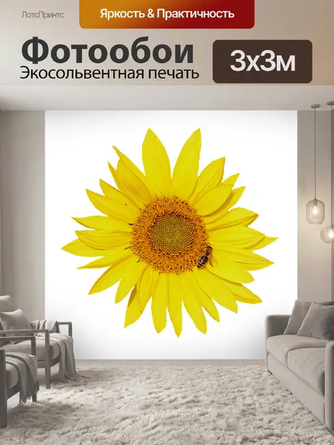 Фотообои Вырезать