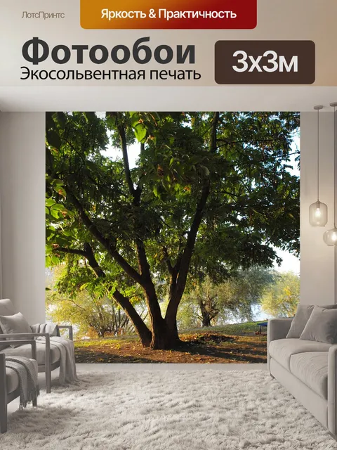 Фотообои Дерево