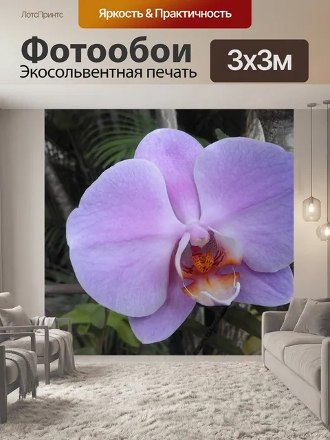 Фотообои Цветок