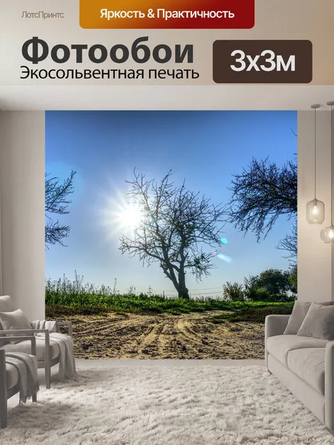 Фотообои Солнце