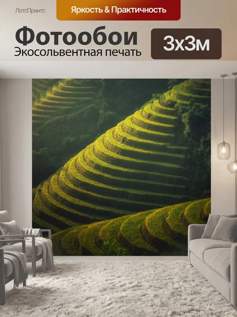 Фотообои Рисовые террасы