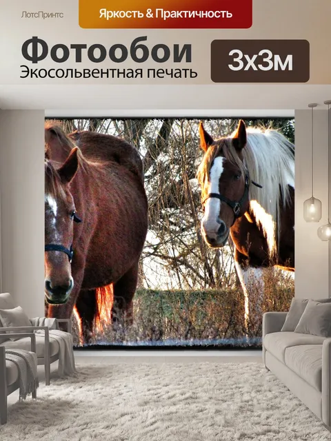 Фотообои Лошади