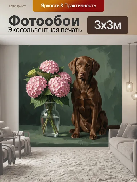 Фотообои Шоколадный лабрадор с гортензиями