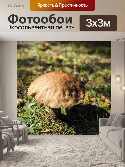 Фотообои Гриб