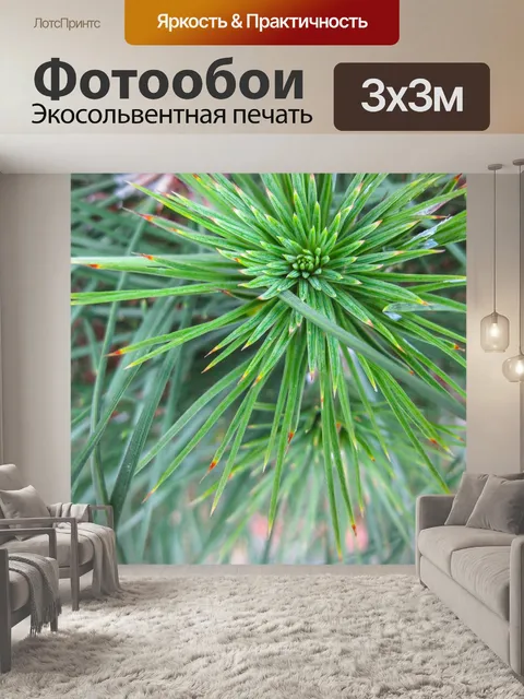 Фотообои Кричать