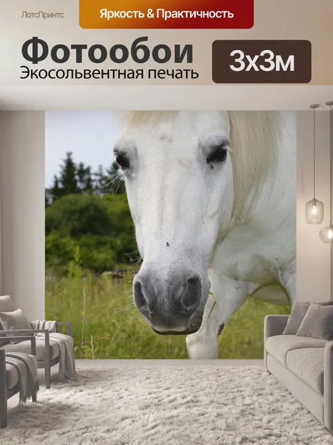 Фотообои Лошадь
