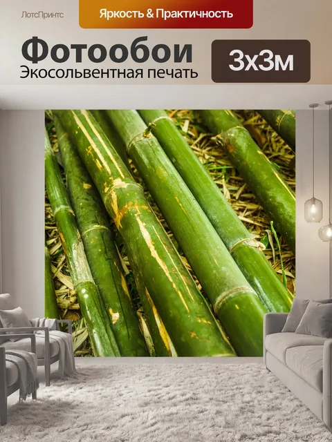 Фотообои Бамбуковый лес природа фон