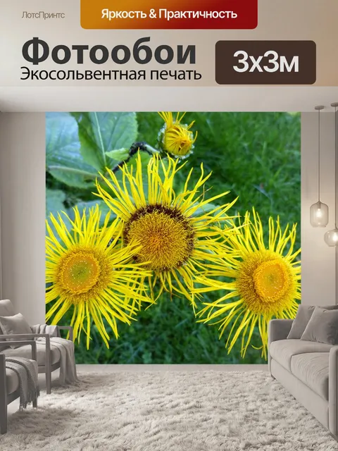 Фотообои Alant