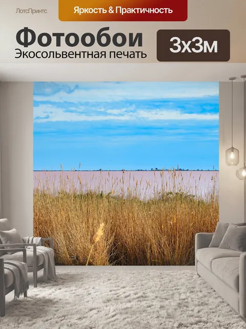 Фотообои Тростник